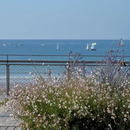 Bel T3 Renove Avec Terrasse, A 200m De La Plage, Wifi - Fr-1-92-691 * 莱萨布勒-多洛讷