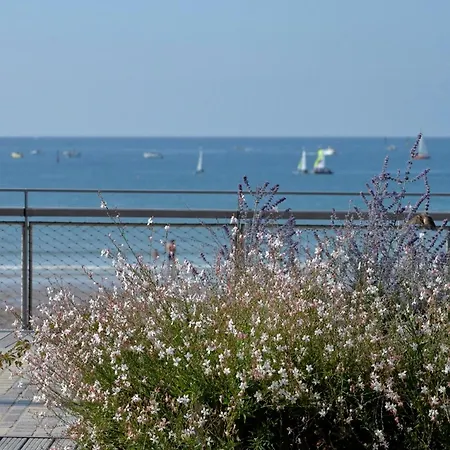 아파트 Bel T3 Renove Avec Terrasse, A 200m De La Plage, Wifi - Fr-1-92-691 Les Sables-dʼOlonne