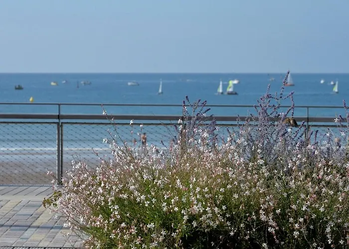 Bel T3 Renove Avec Terrasse, A 200m De La Plage, Wifi - Fr-1-92-691 * 莱萨布勒-多洛讷